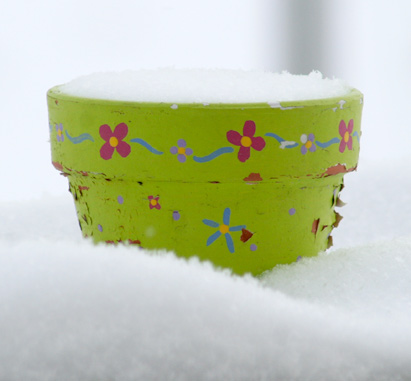flower pot in the snow photo by jgoode flower pot in the snow photo by jgoode