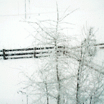 spring snow