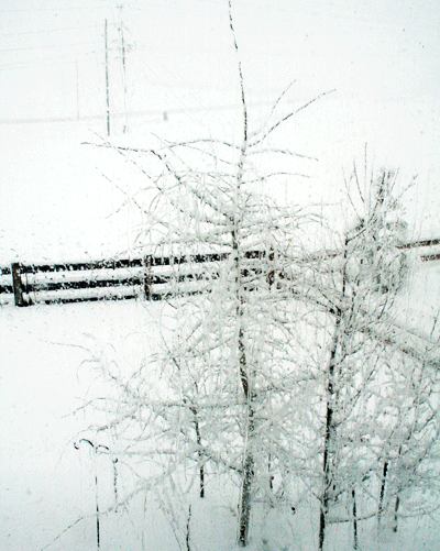 spring snow spring snow