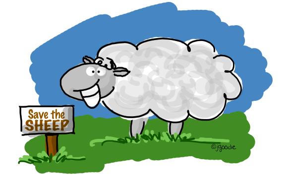 save the sheep! save the sheep!