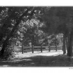 The Fence by JGoode