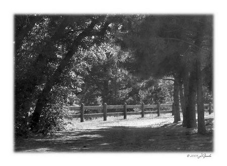 The Fence by JGoode