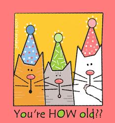 Sharon Fernleaf Birthday Cats
