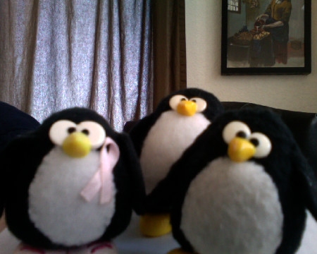 3 penguins by JGoode