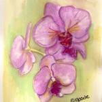 watercolor painting of orchids